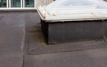 disadvantages of Glan Y Nant flat roofs