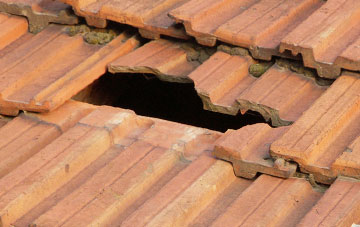 roof repair Glan Y Nant